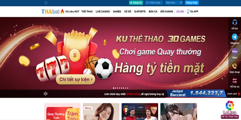 điều khoản điều kiện